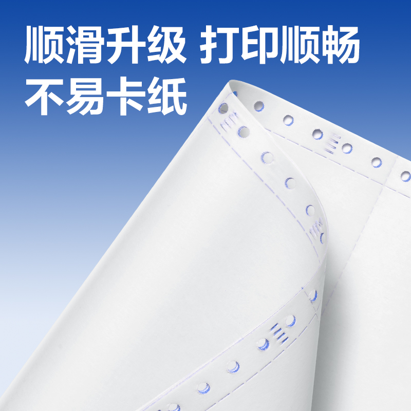 大众娱乐莱茵河L241-2电脑打印纸(1/3CS彩色撕边)(1000页/盒)