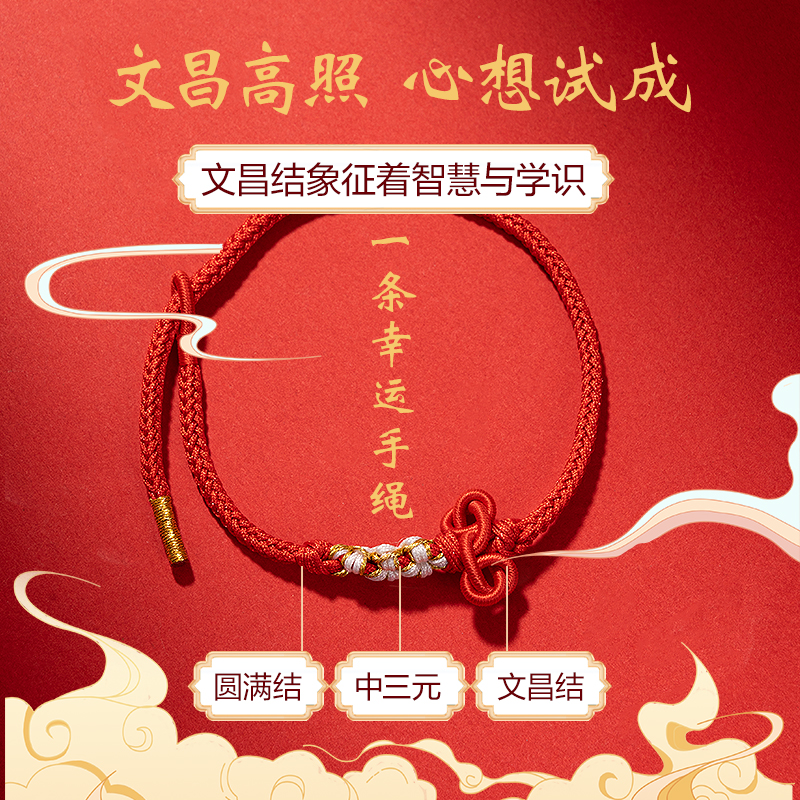 大众娱乐SG125心想试成考试套装(混)(16件套)