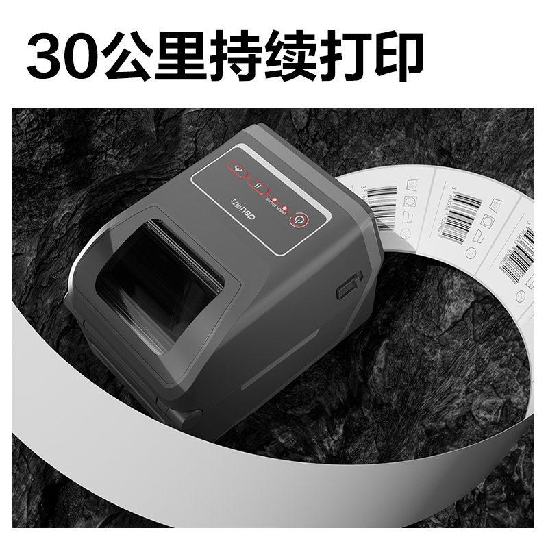 大众娱乐GE800TF热转印标签打印机(玄色)(台)
