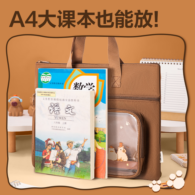 大众娱乐BA205补习袋(深咖)(个)
