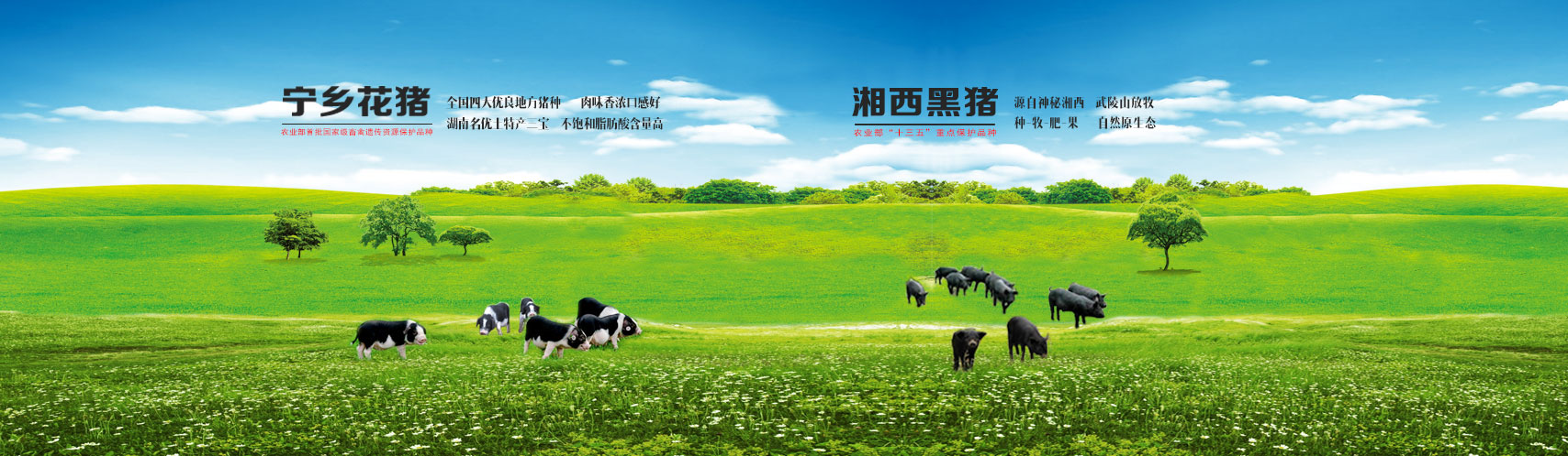 qy千亿-千亿(国际)唯一官方网站