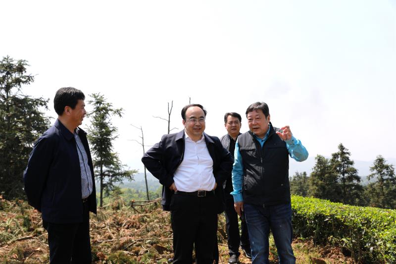 11-11-250565-1695922692 qy千亿-千亿(国际)唯一官方网站