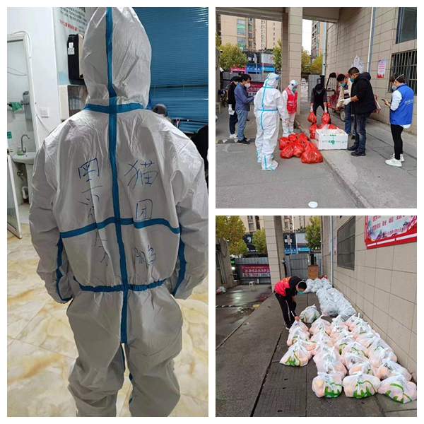 光影魔术试齑图.jpg