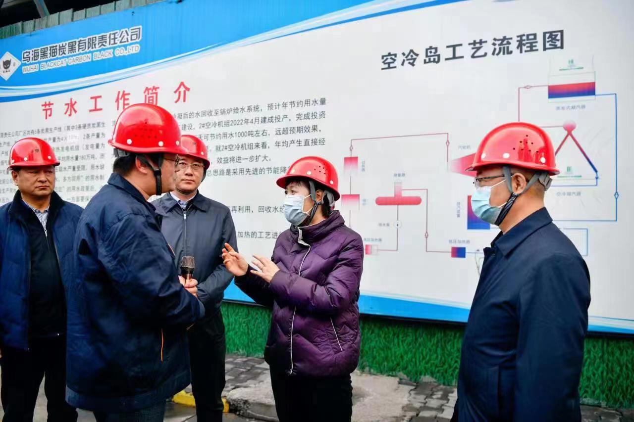 崔景英一行莅临乌海qy千亿调研领导 (1).jpg 崔景英一行莅临乌海qy千亿调研领导 (1).jpg