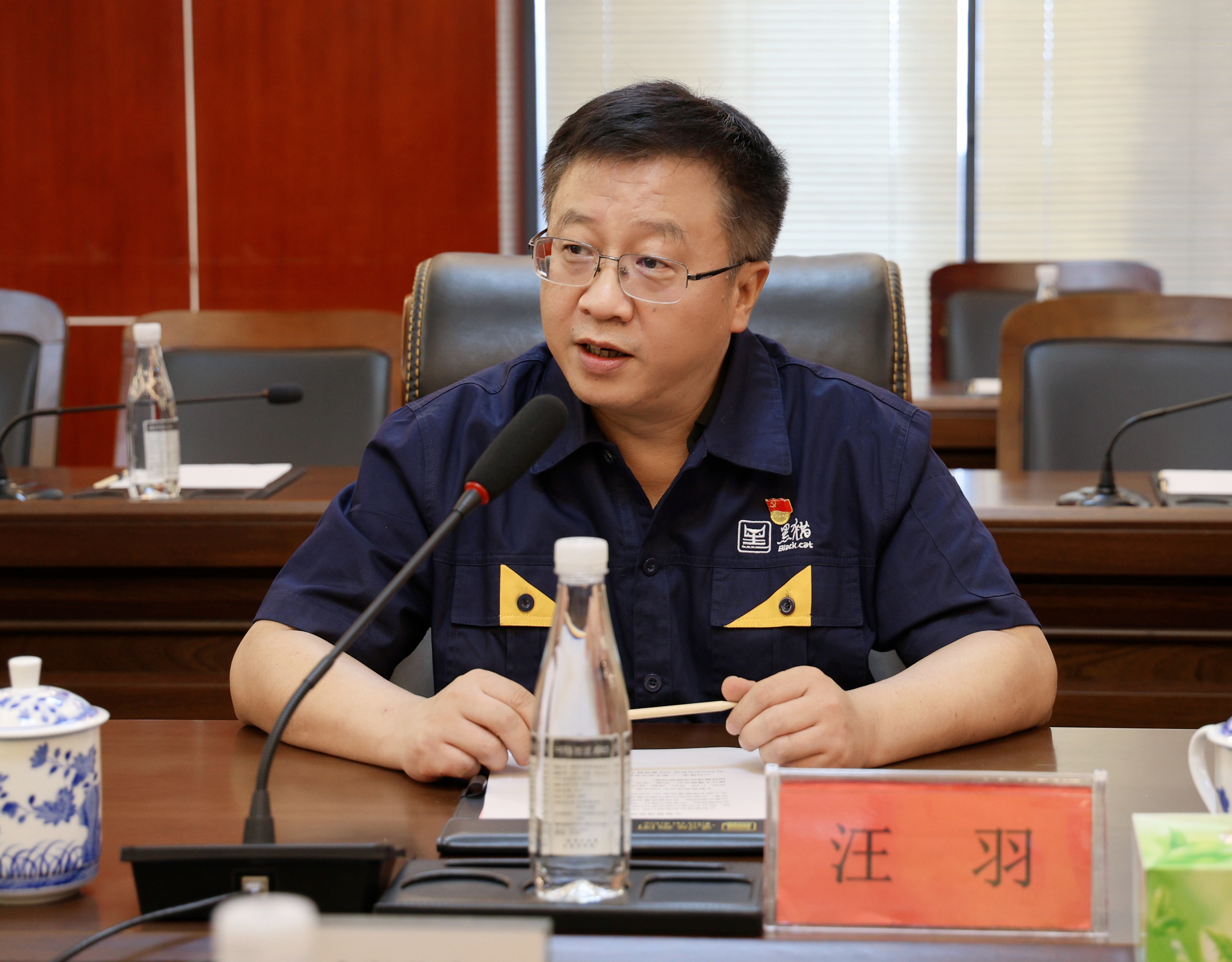 图5 汪董讲话.jpg 图5 汪董讲话.jpg